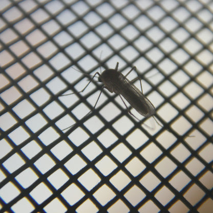 Moustiquaire Magnétique Anti-Insectes